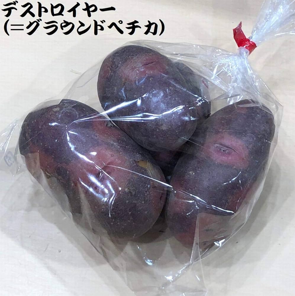 Amazon.co.jp: 赤色じゃがいも(グラウンドペチカ,別名